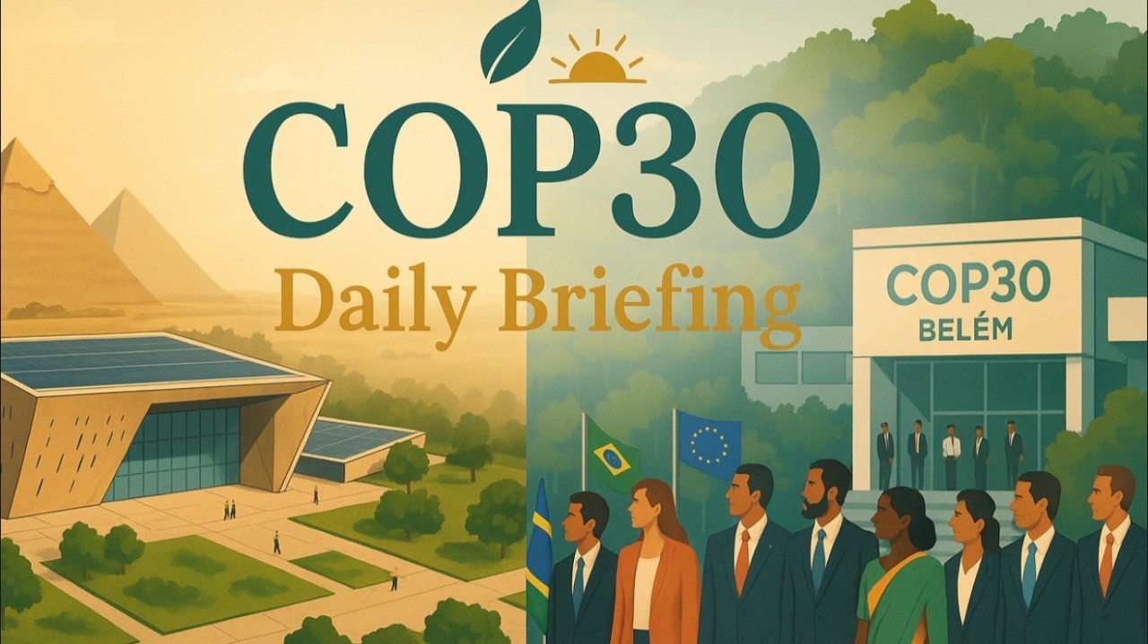 Summary of the Twelfth Day of the Conference of the Parties COP30